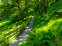 Glendalough, Co. Wicklow
